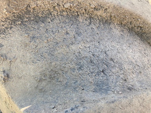 Goodyear LSW800/55R46 Tires