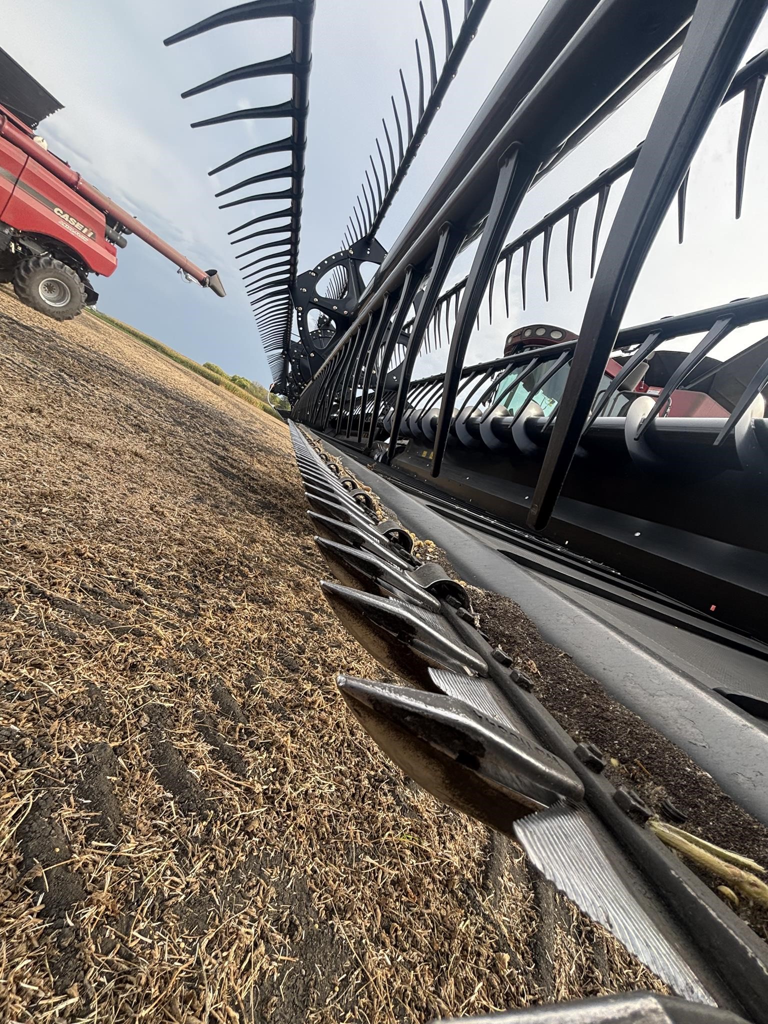 2016 MacDon FD75-40 Header Combine
