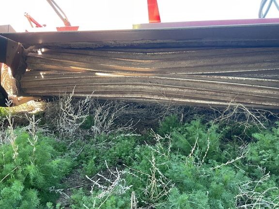 2020 Case IH WD2504 Windrower