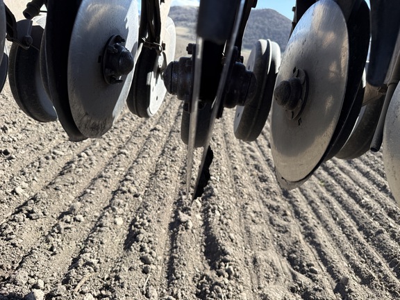 Case IH 5500 Drill