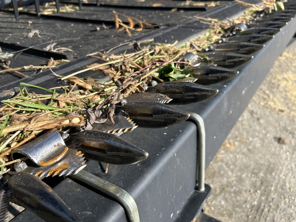 2019 MacDon FD140 Header Combine