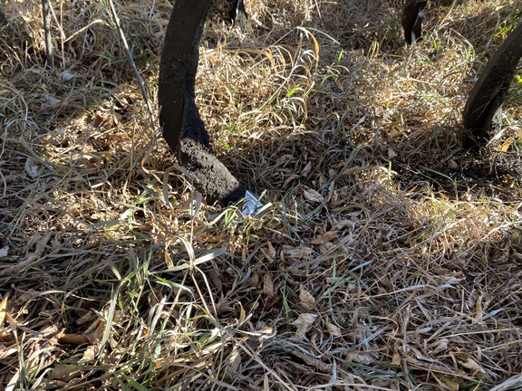 1995 Case IH 5800 Chisel Plow