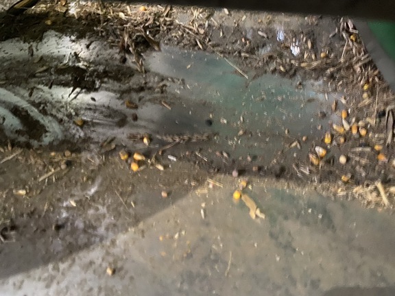 2012 John Deere 612C Header Corn Head