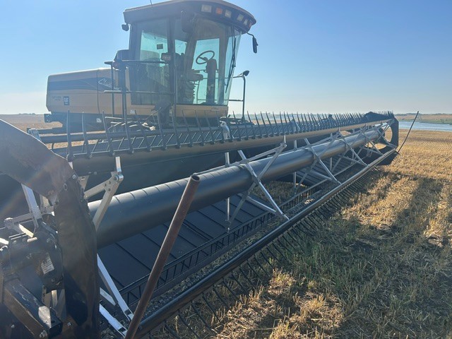 2005 Challenger SP115B Windrower