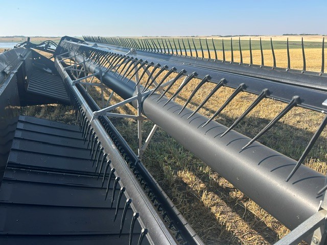 2005 Challenger SP115B Windrower