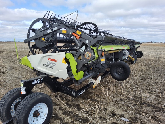 2020 CLAAS Convio Flex 1230 Header Combine