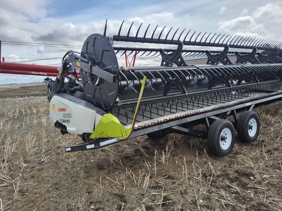 2020 CLAAS Convio Flex 1230 Header Combine