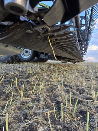 2021 MacDon FD140 Header Combine