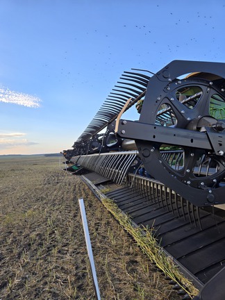 2021 MacDon FD140 Header Combine