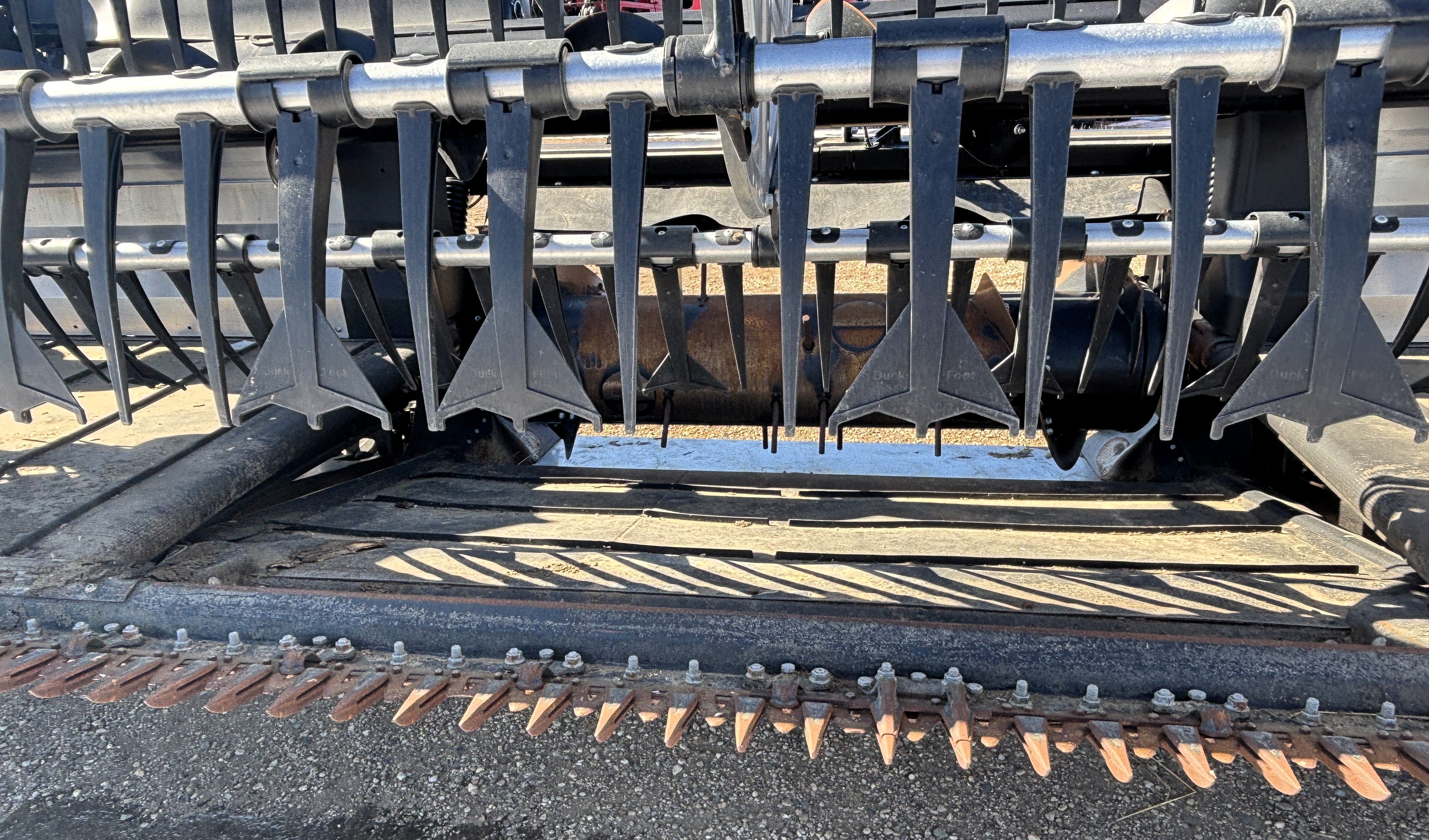 2025 MacDon FD250 Header Draper Flex