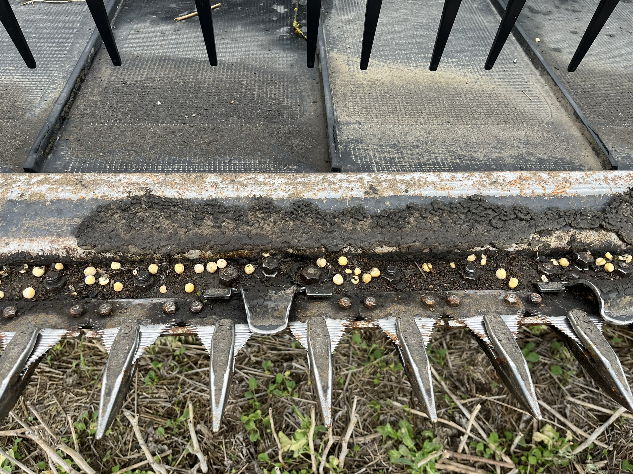 2020 MacDon FD140 Header Draper Flex