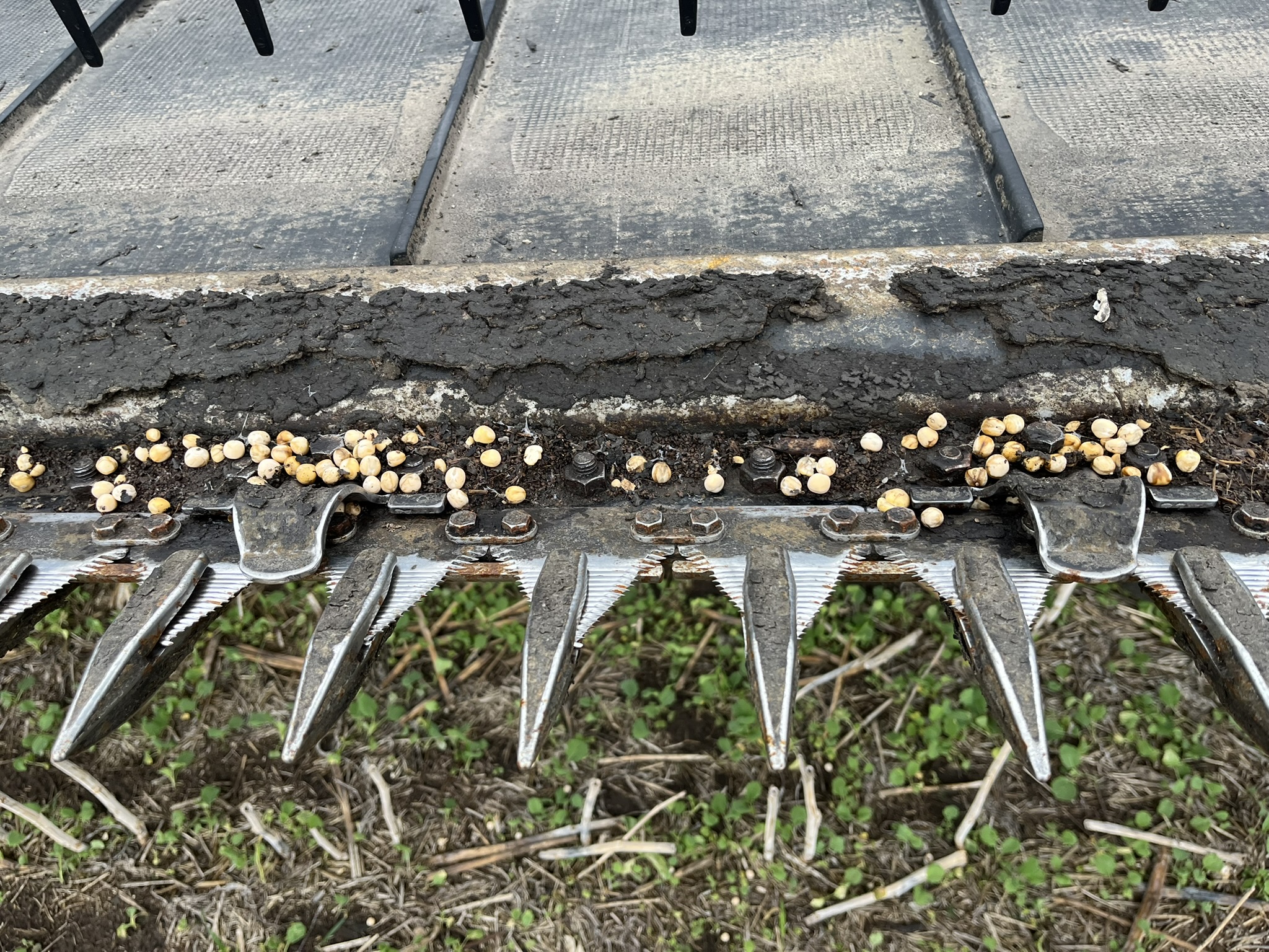 2020 MacDon FD140 Header Draper Flex