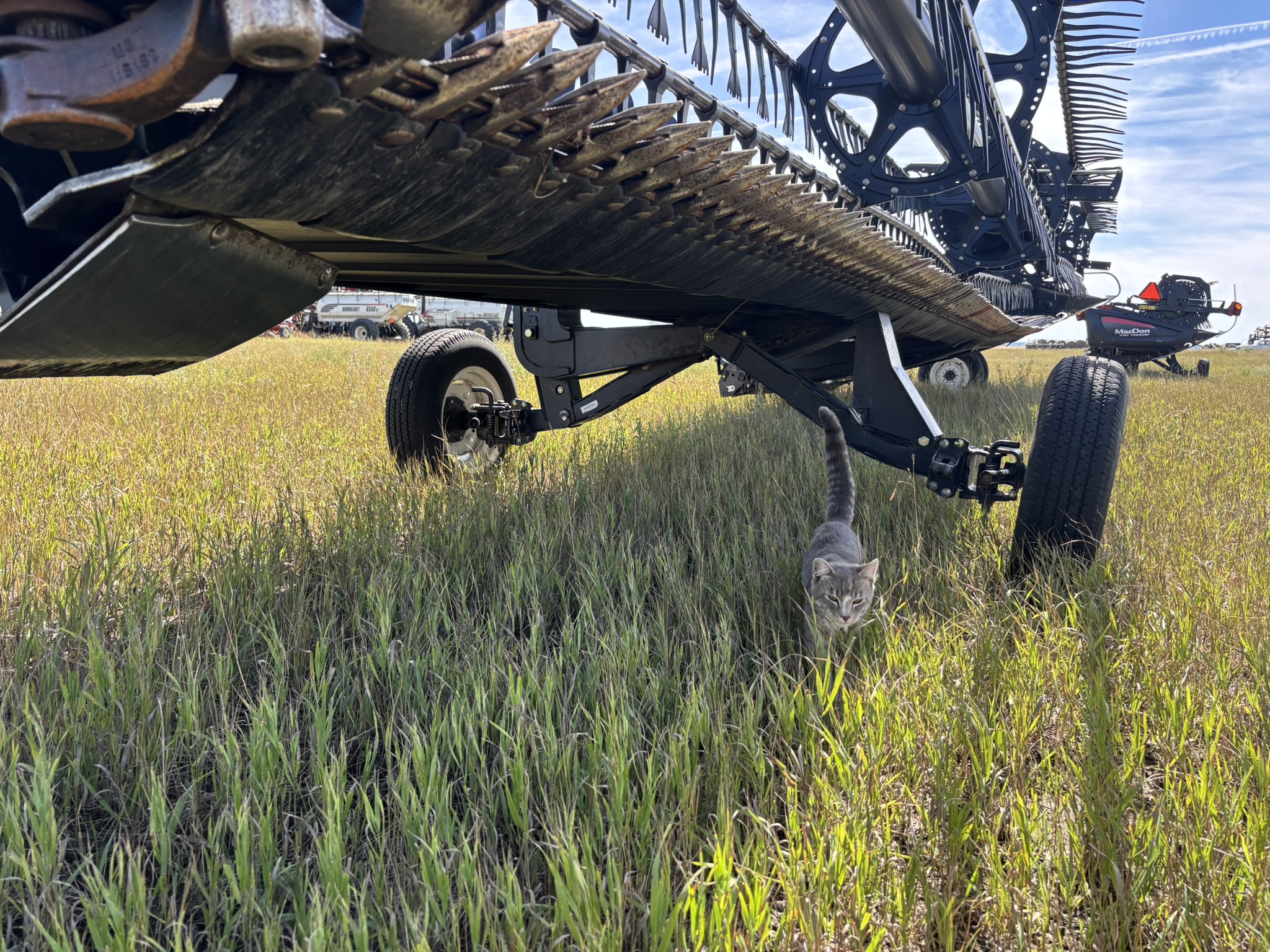 2016 MacDon FD75-45 Header Draper Flex