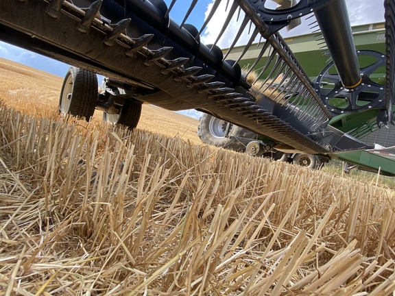 2020 MacDon FD145 Header Combine