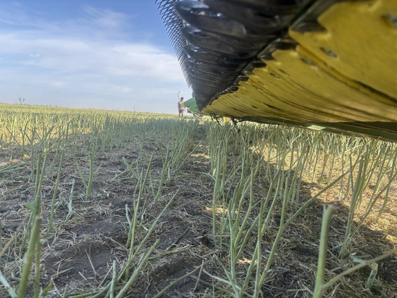 2022 John Deere RD45F Header Combine