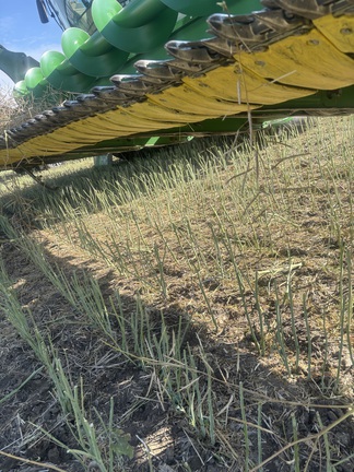 2021 John Deere RD45F Header Combine