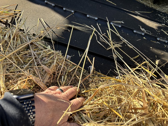 2024 MacDon FD245 Header Combine