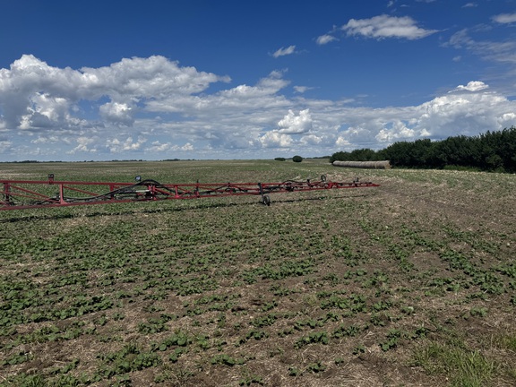 2015 Case IH 3340 Sprayer/High Clearance