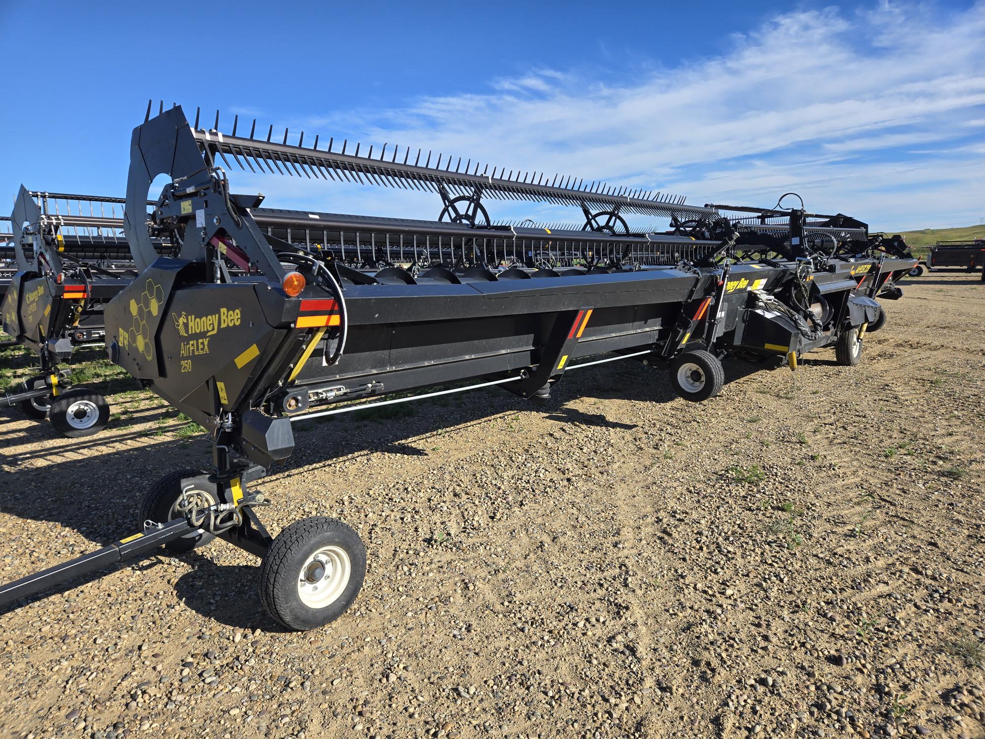 2019 Honey Bee 250 AirFlex Header Combine