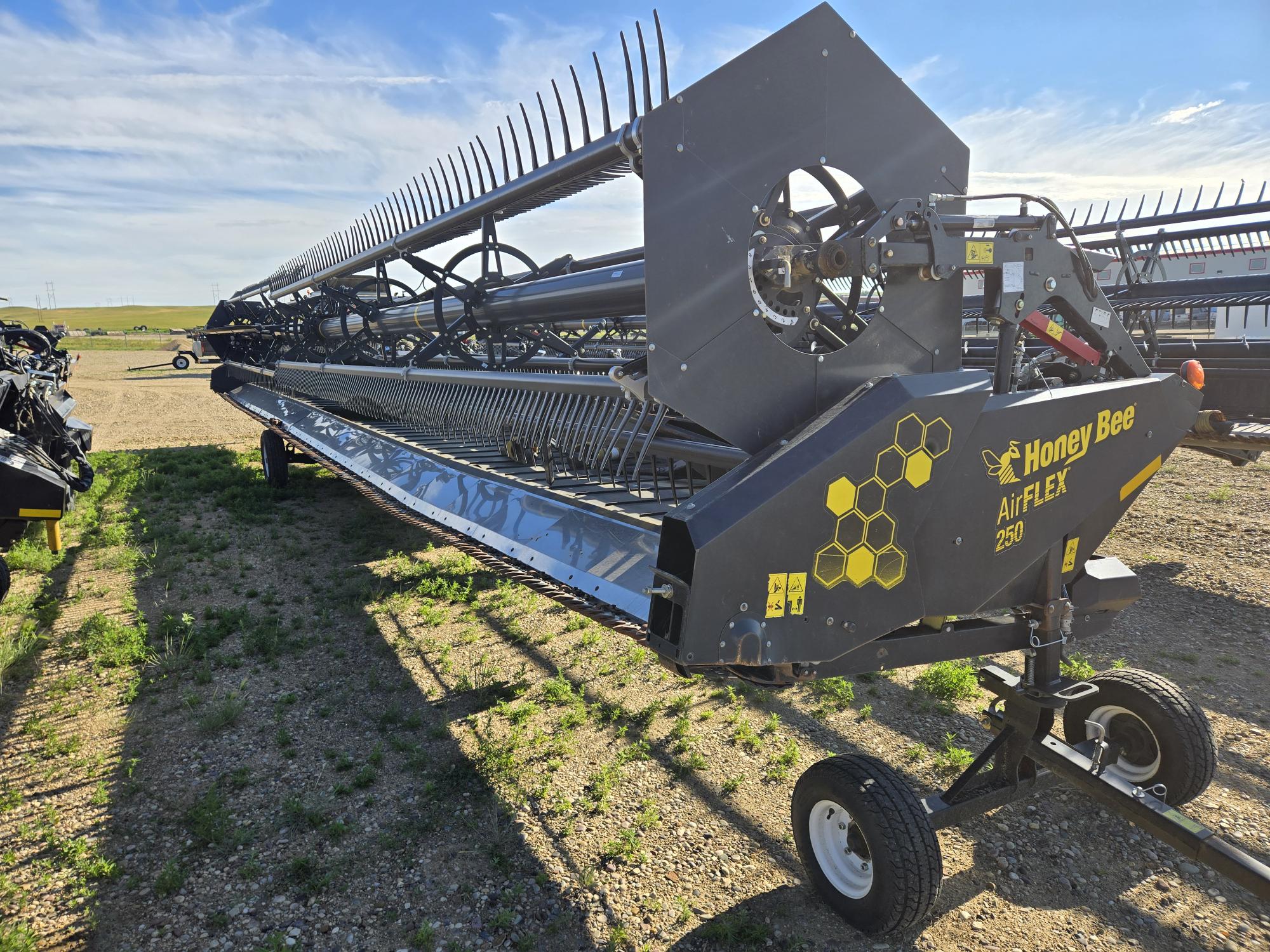 2019 Honey Bee 250 AirFlex Header Combine