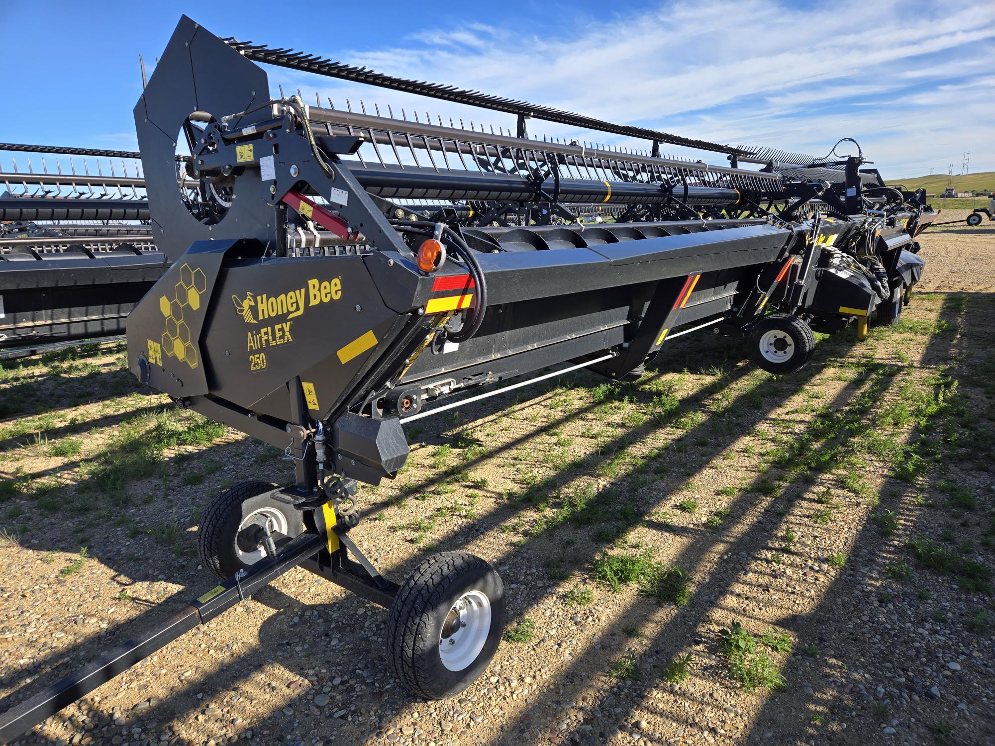 2019 Honey Bee 250 AirFlex Header Combine