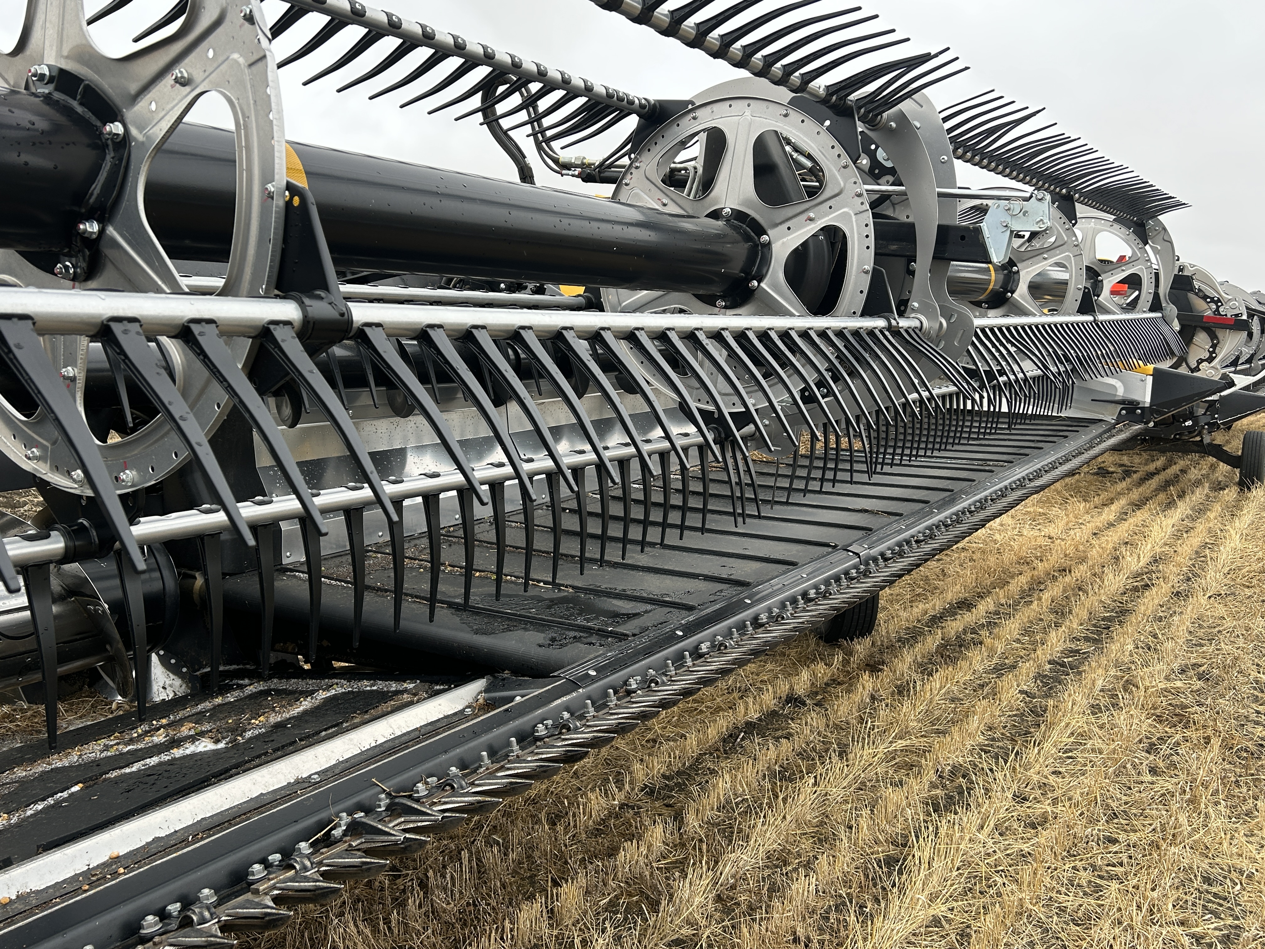2025 MacDon FD245 Header Draper Flex