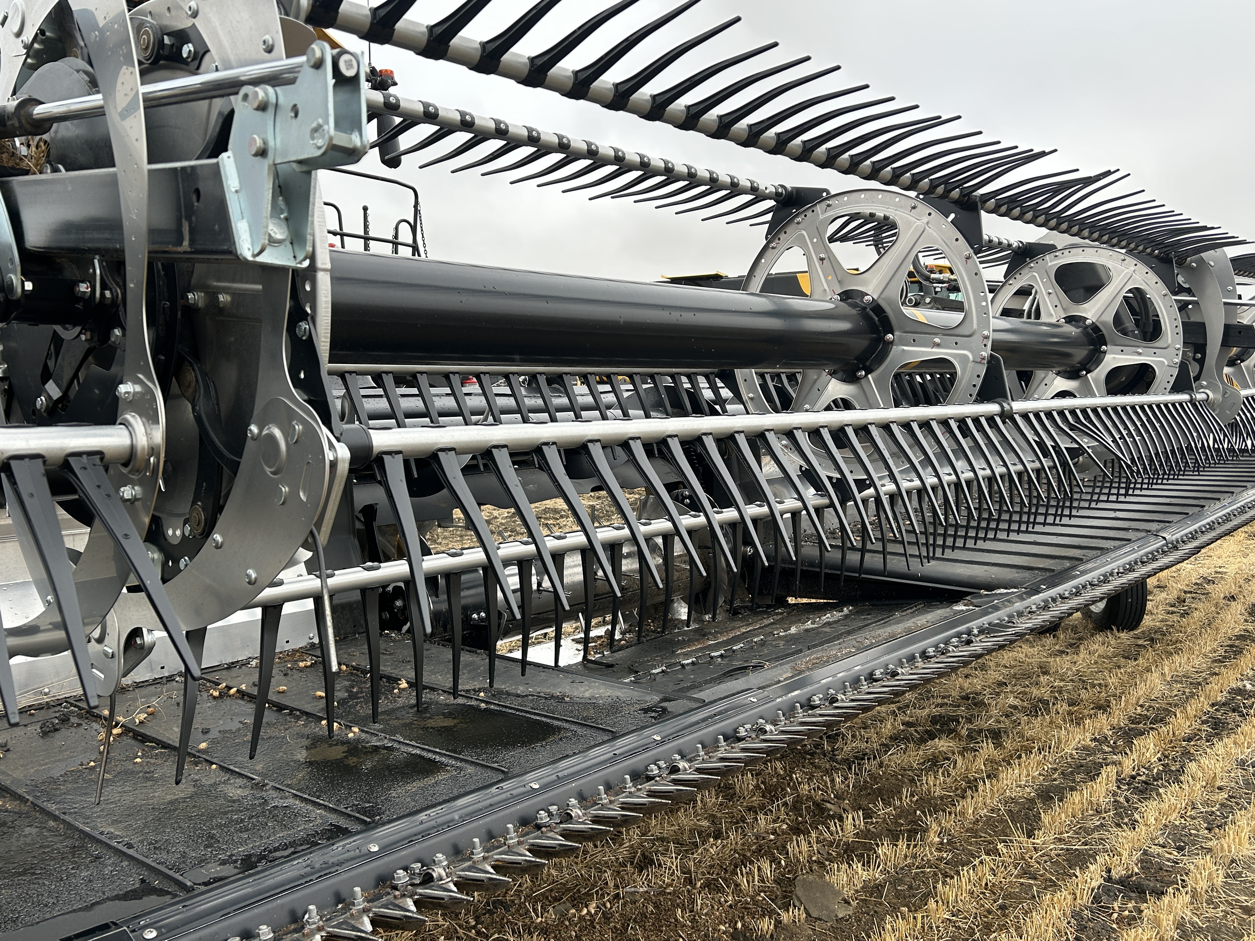 2025 MacDon FD245 Header Draper Flex