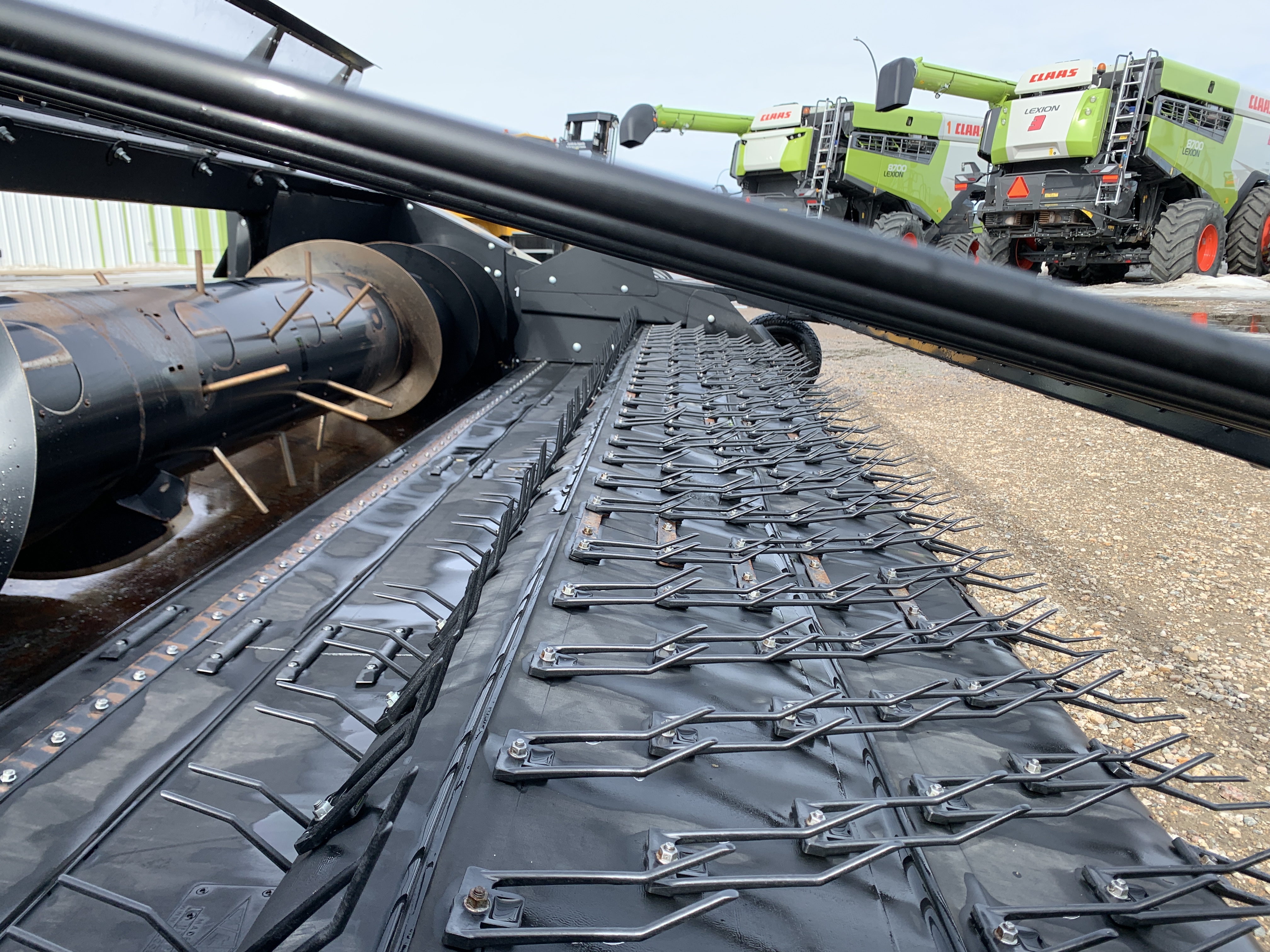 2020 CLAAS 450 Header Pickup