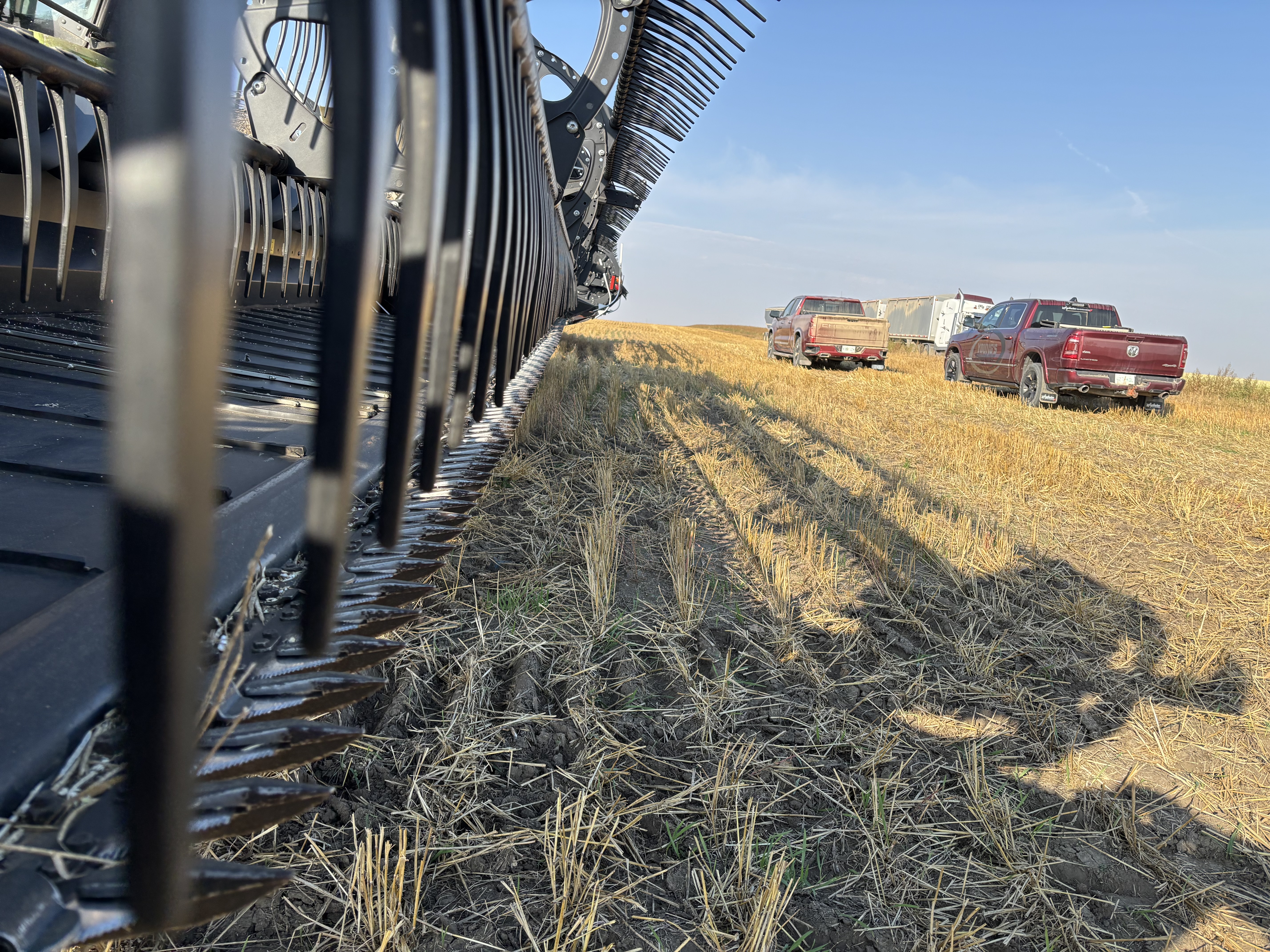 2021 MacDon FD145 Header Draper Flex