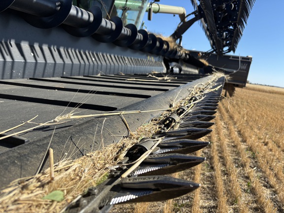 2020 MacDon FD140 Header Combine