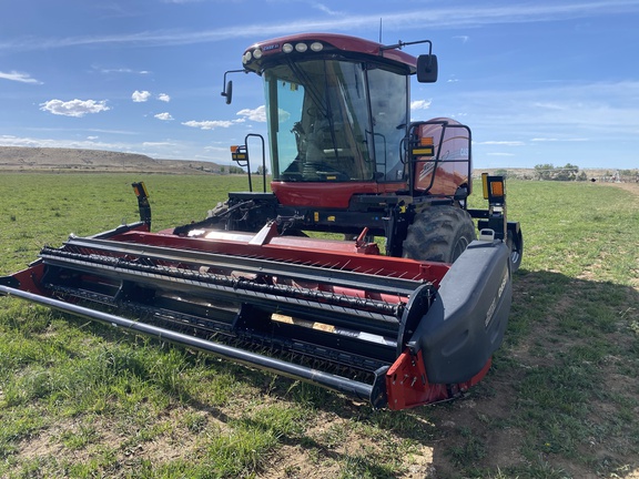 2019 Case IH WD1504 Windrower