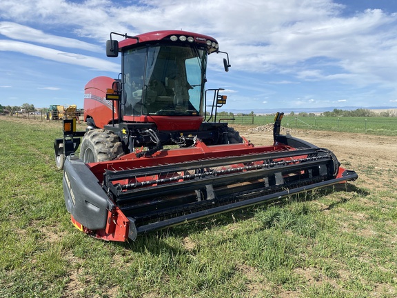 2019 Case IH WD1504 Windrower