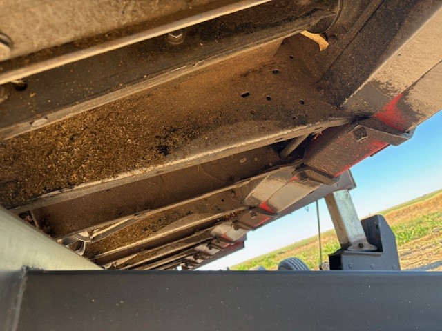 2021 Case IH 4412 Header Corn Head