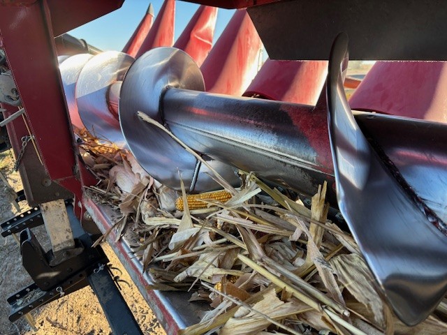 2021 Case IH 4412 Header Corn Head