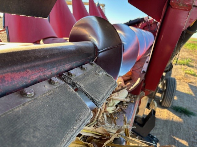 2021 Case IH 4412 Header Corn Head