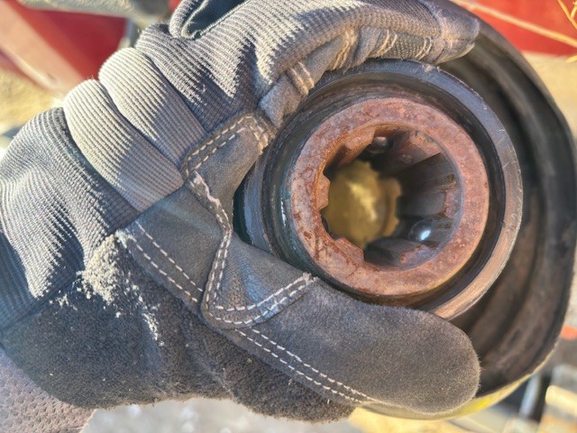 2010 Case IH 3412 Header Corn Head