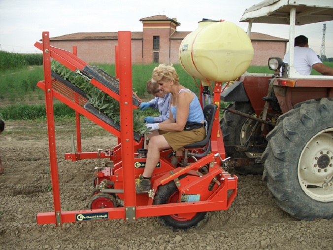 2021 Checchi & Magli WOLF 1 ROW  TRANSPLANTER Vegetable Equipment