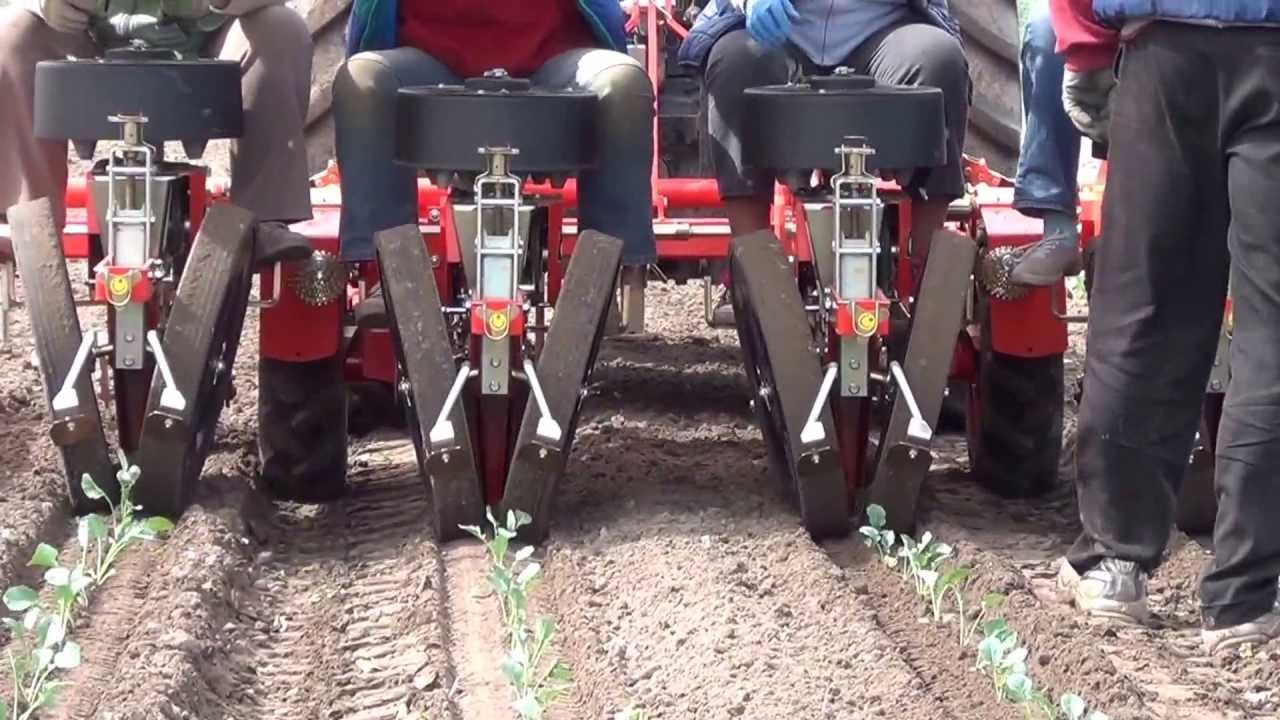 2019 Checchi & Magli Trium 5 row No-Till Version Transplanter