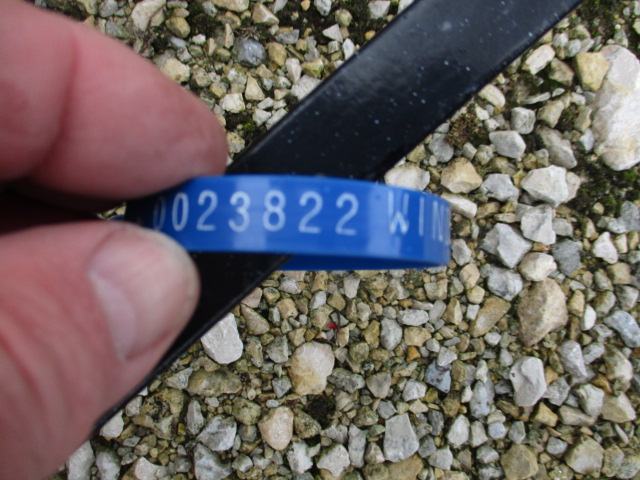 2019 JCB Pallet Forks 48" Hyd Tilt Fork carriage Pallet Fork