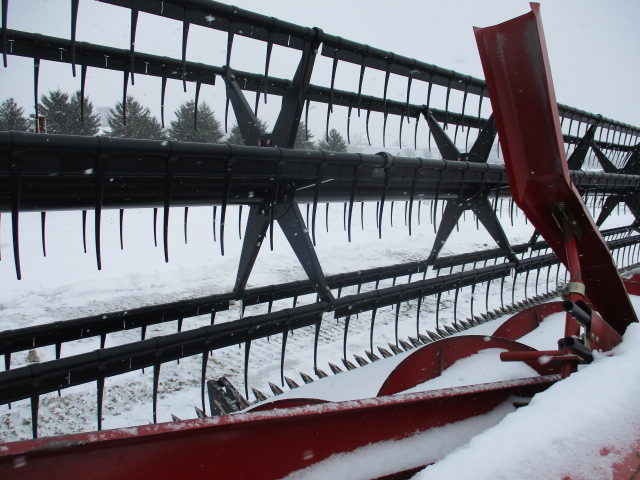 2004 Case IH 1020-25F Header Combine