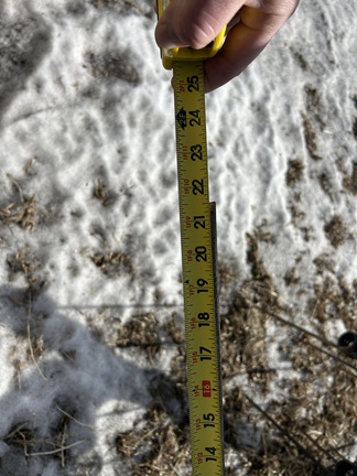 2023 John Deere 2430 Chisel Plow