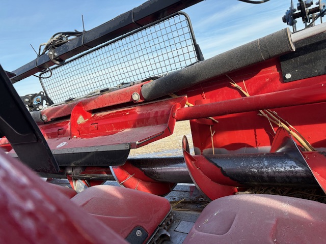 2019 Case IH 4412F Header Corn Head