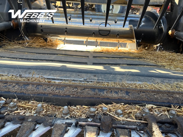 2025 MacDon FD250 Header Combine