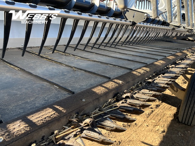 2025 MacDon FD250 Header Combine