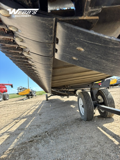 2025 MacDon FD250 Header Combine