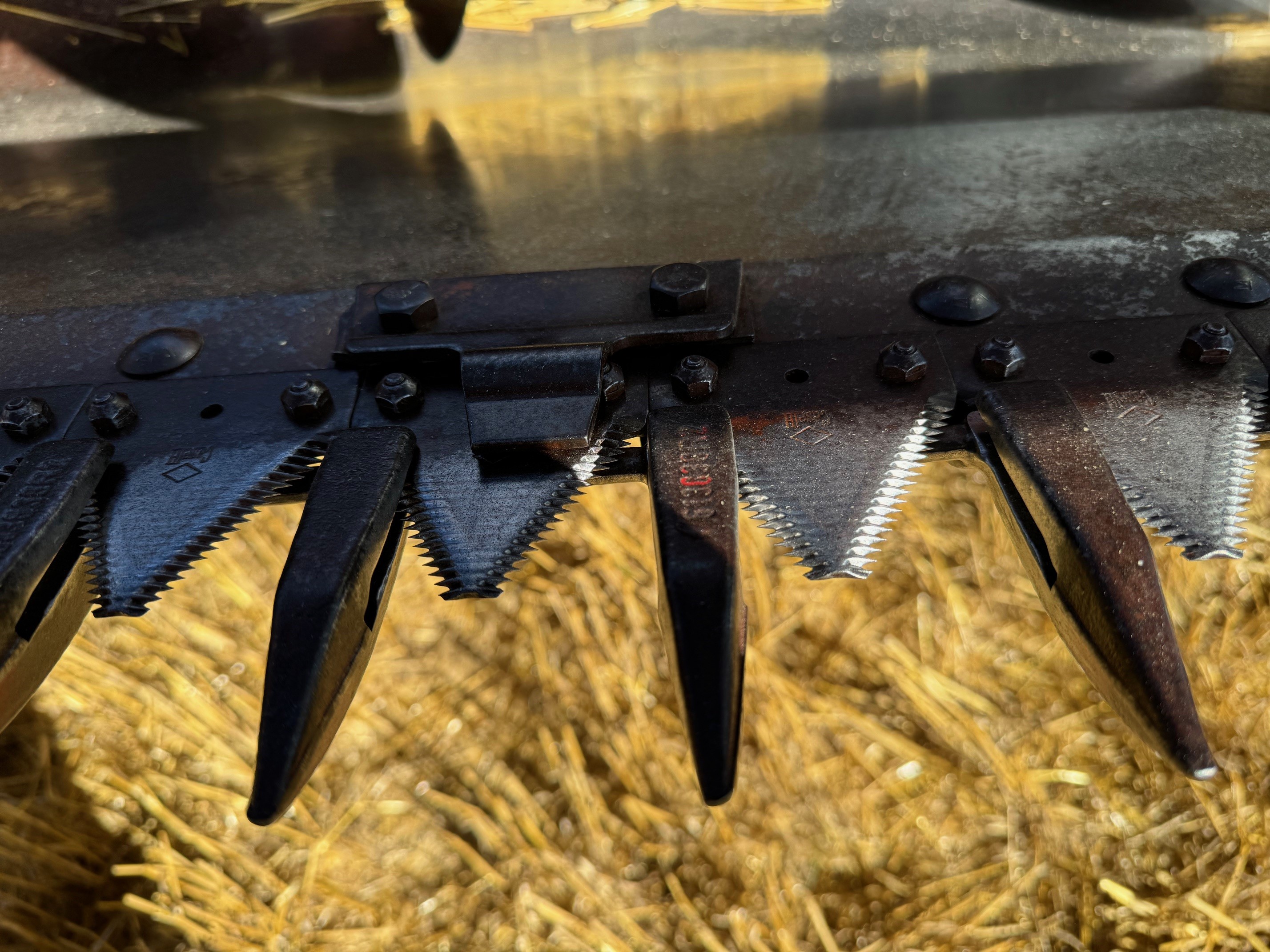 Sixth image Model Thumbnail