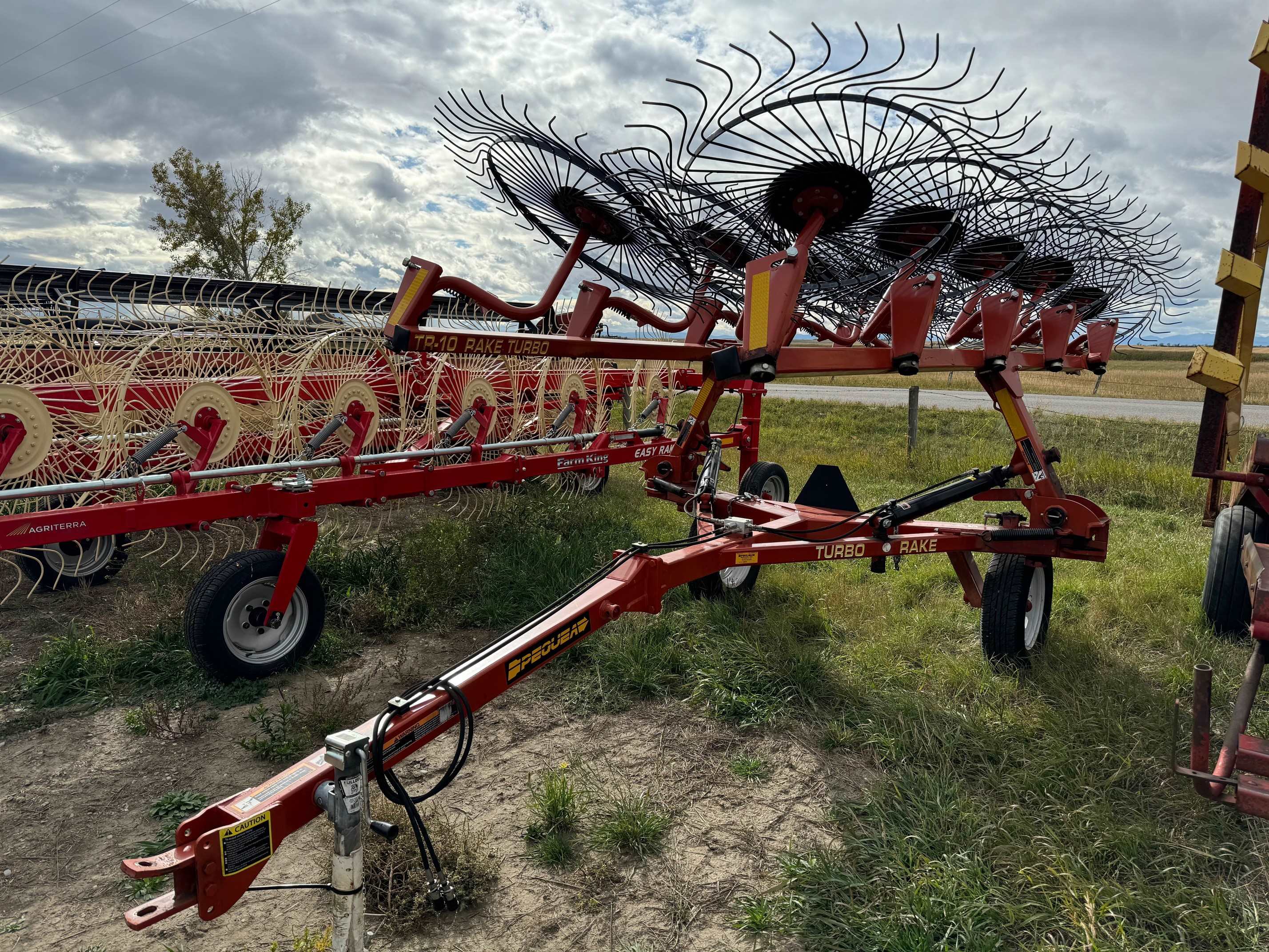 2012 Pequea 10 Rake/Hay