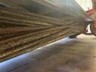 2009 Massey Ferguson 1372 Mower Conditioner/Disc