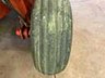 2009 Massey Ferguson 1372 Mower Conditioner/Disc