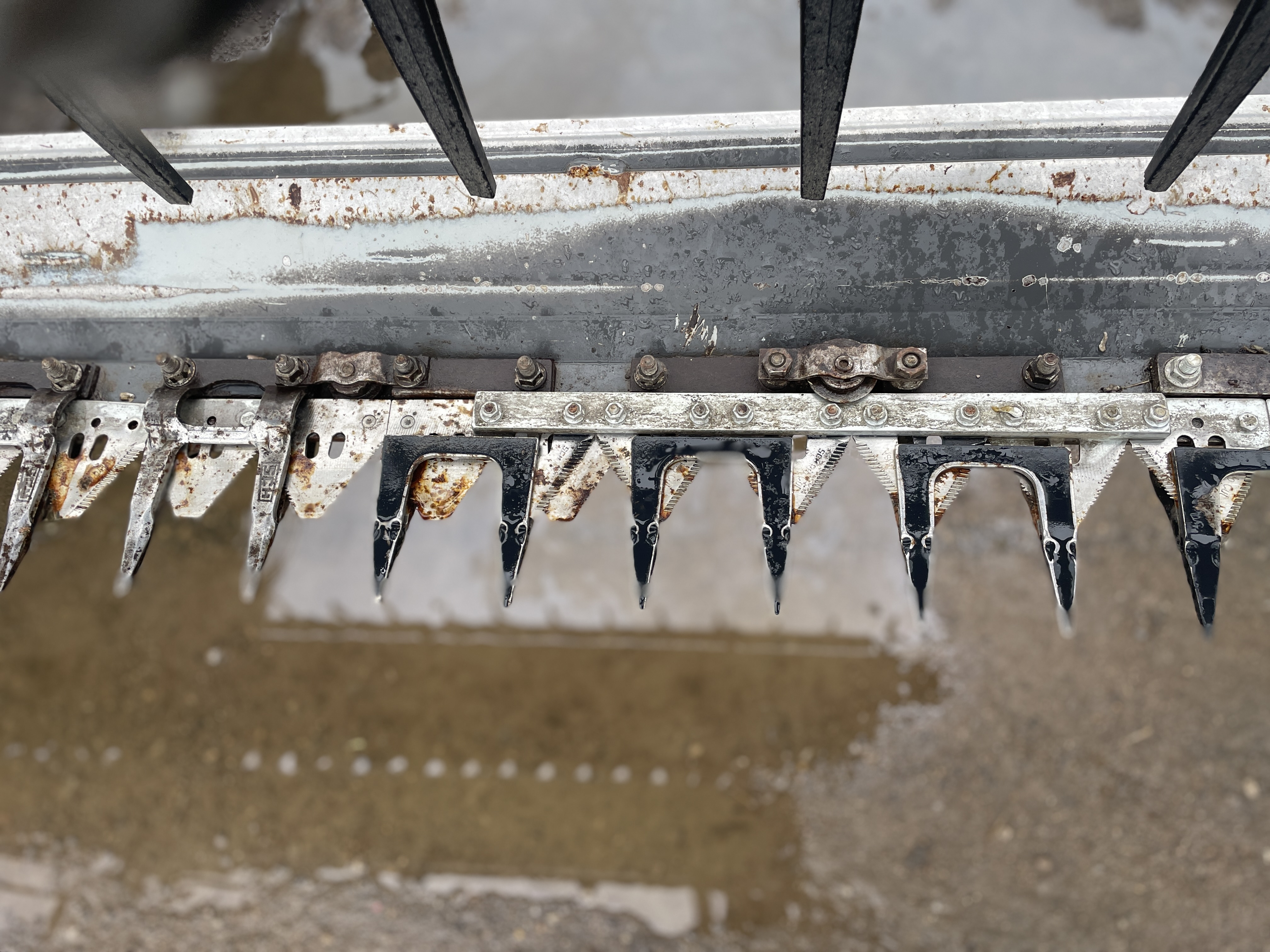 2016 Massey Ferguson 5300 Header Draper